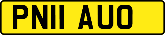 PN11AUO