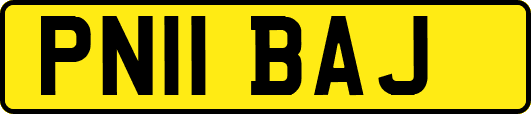 PN11BAJ