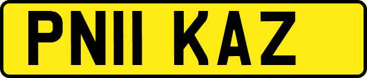 PN11KAZ