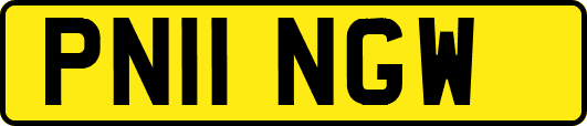 PN11NGW