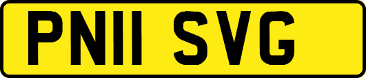 PN11SVG