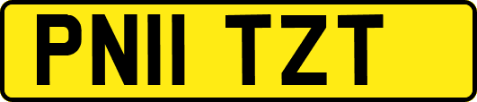 PN11TZT