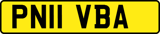 PN11VBA