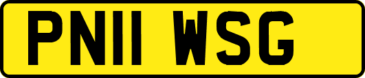 PN11WSG