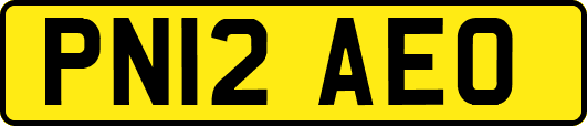 PN12AEO