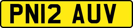 PN12AUV