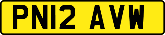 PN12AVW