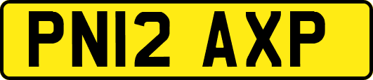 PN12AXP