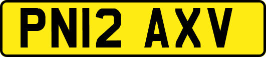 PN12AXV