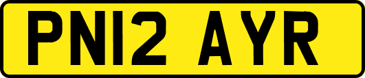 PN12AYR