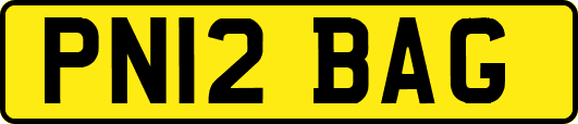 PN12BAG