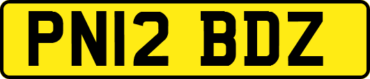 PN12BDZ