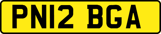 PN12BGA