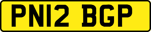 PN12BGP