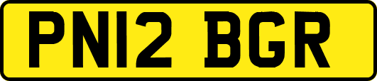 PN12BGR