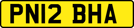 PN12BHA