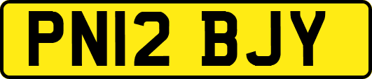 PN12BJY