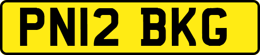 PN12BKG