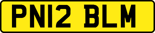 PN12BLM