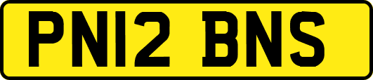 PN12BNS