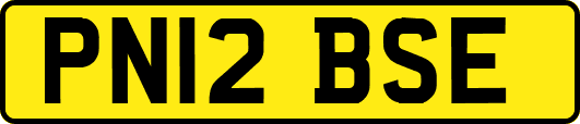 PN12BSE