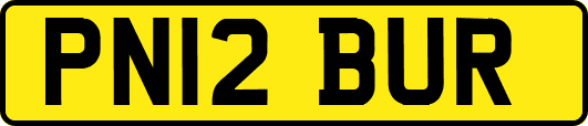 PN12BUR