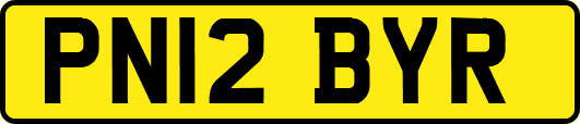 PN12BYR