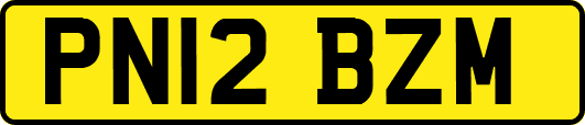 PN12BZM