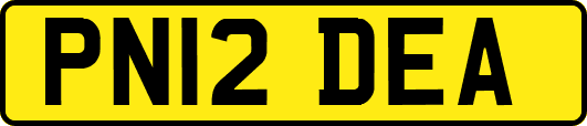 PN12DEA