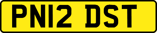 PN12DST