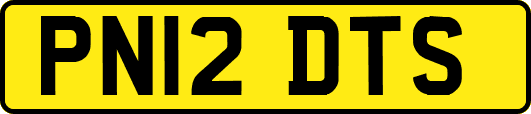 PN12DTS