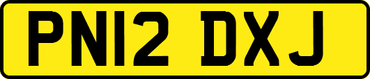 PN12DXJ