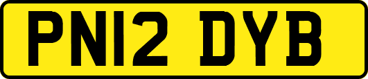 PN12DYB