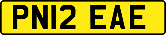 PN12EAE