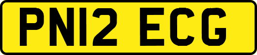 PN12ECG