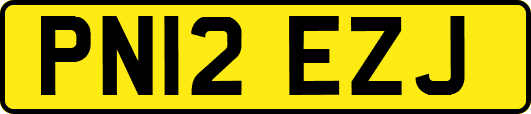 PN12EZJ