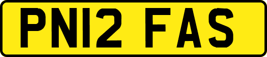 PN12FAS