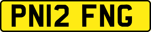 PN12FNG