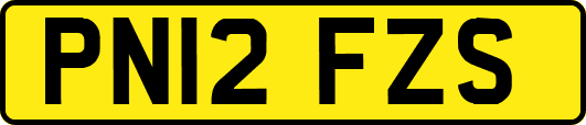 PN12FZS