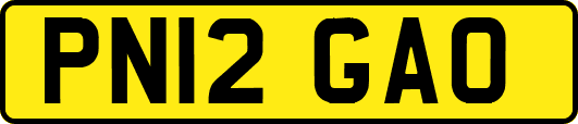 PN12GAO