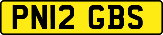 PN12GBS