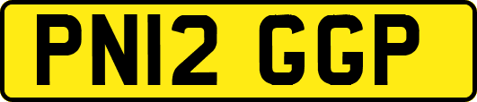 PN12GGP