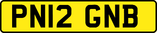 PN12GNB