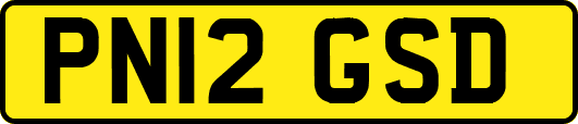 PN12GSD