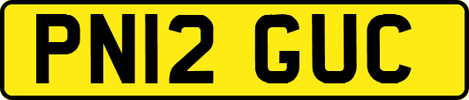 PN12GUC