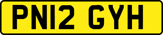 PN12GYH