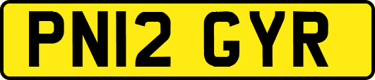 PN12GYR