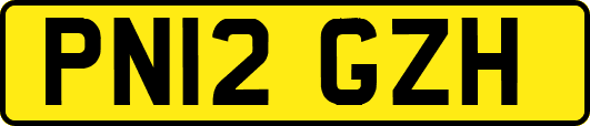 PN12GZH