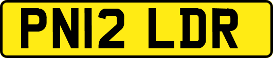 PN12LDR