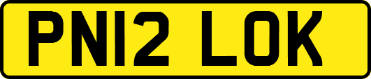 PN12LOK